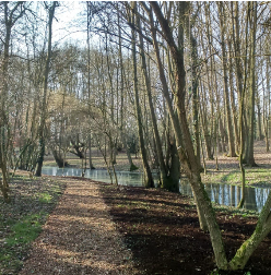 parc1
